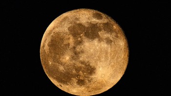 Supermoon dilihat dari Jerman. Foto: Getty Images/Matthias Hangst