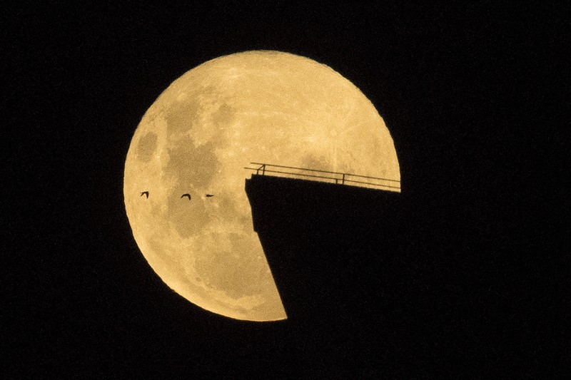 Birds fly by as the moon rises over the Opera House in Sydney, Australia, Tuesday, April 27, 2021. This moon is a supermoon, meaning it appears larger than an average full moon because it is nearer the closest point of its orbit to Earth. (Mick Tsikas/AAP Image via AP)