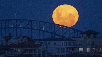 Supermoon terbit di Sydney Harbour Bridge, Australia. Foto: AP/Mark Baker