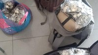 Empat tas yang berisi uang koin pecahan Rp 500 dan Rp 1.000 yang sudah dikumpulkan, dan dihitung oleh keluarga Wahid di rumah. Foto: Istimewa
