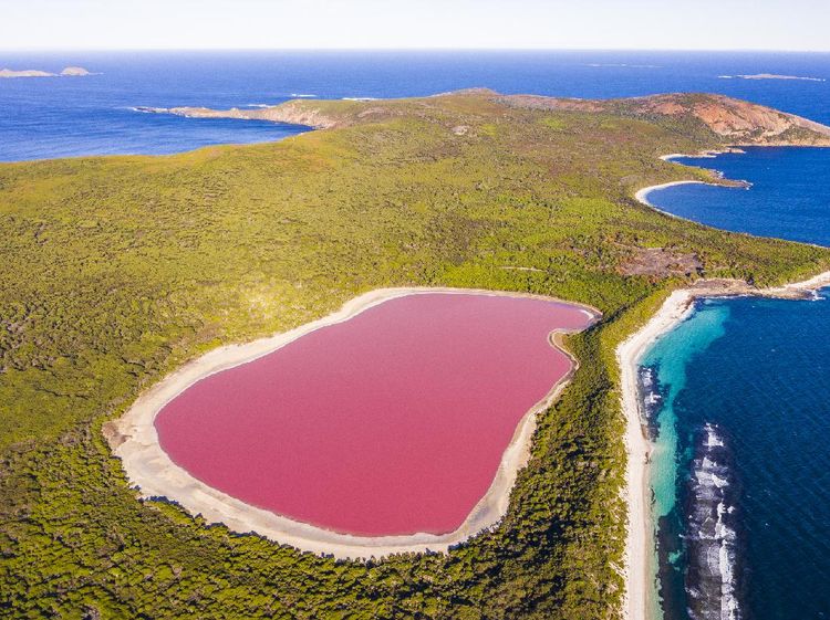 Jangan Lihat Siang-siang, Foto Danau Pink yang Bikin Haus