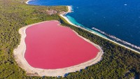 Inilah Danau Hillier, danau berwantraa pink dan unik di Australia.