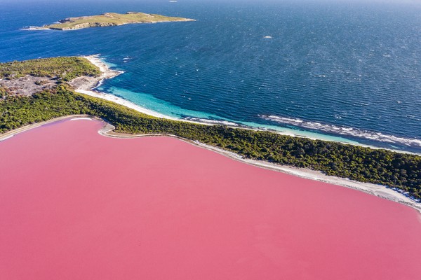 Danau yang berlokasi di Middle Island ini pertama kali ditemukan oleh Angkatan Laut Kerajaan Inggris pada 1802. Danau yang berlokasi di Middle Island ini pertama kali ditemukan oleh Angkatan Laut Kerajaan Inggris pada 1802.