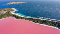 Danau yang berlokasi di Middle Island ini pertama kali ditemukan oleh Angkatan Laut Kerajaan Inggris pada 1802.