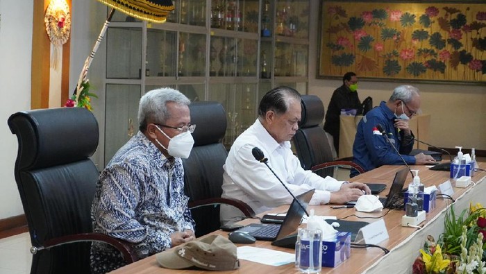Dewan Energi Nasional