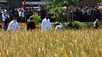 Menurut Jokowi, hitung-hitungan akan kebutuhan beras akan mudah apabila ketersediaan benar-benar ada dan jelas jumlahnya.