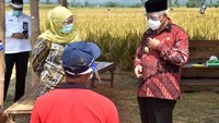 Gubernur Jatim Khofifah Indar Parawansa turut hadir mendampingi Presiden ke lokasi panen.