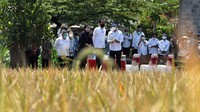 Presiden Jokowi meninjau lokasi tanam sekaligus panen padi di Desa Kanigoro, Kecamatan Pagelaran, Kabupaten Malang, Kamis (29/4).