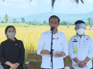 Tinjau Panen Padi di Malang, Jokowi Puji Varietas Unggul IPB-3S