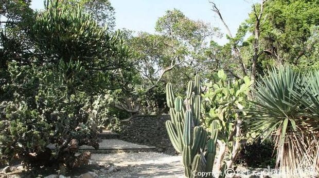 Kebun Raya Bogor