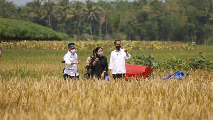 Kementan