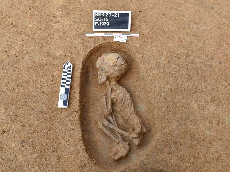 Makam Kuno di Delta Sungai Nil, Nih