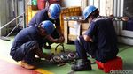 Melihat Perawatan Lokomotif di Depo Cipinang