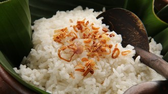 Efek Makan Nasi Setiap Hari, Sehat atau Justru Berisiko?