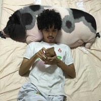 Foto-foto Pattanadon Taesakul tiduran bersama babi yang dihiasi pita pink viral di media sosial. Awalnya orang-orang mengira babi tersebut adalah boneka. Dalam footnya Pattanadon tampak asyik bersandar di badan babi yang super besar itu. Foto: Dok. Facebook Junior the Evil Pig, AFP, thisisprimary