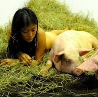 Wanita bernama Miru Kim ini juga viral karena hidup bersama babi. Namun dia berbeda dari orang-orang yang sebelumnya memang setiap hari tinggal bersama babi di rumah mereka. Miru adalah seorang seniman. Dia membuat pertunjukkan hidup bersama babi selama 104 jam. Setelah 104 jam mungkin kita bisa mengetahui seperti apa rasanya menjadi babi dan seperti apa rasanya menjadi manusia, begitu katanya. Foto: Dok. Facebook Junior the Evil Pig, AFP, thisisprimary