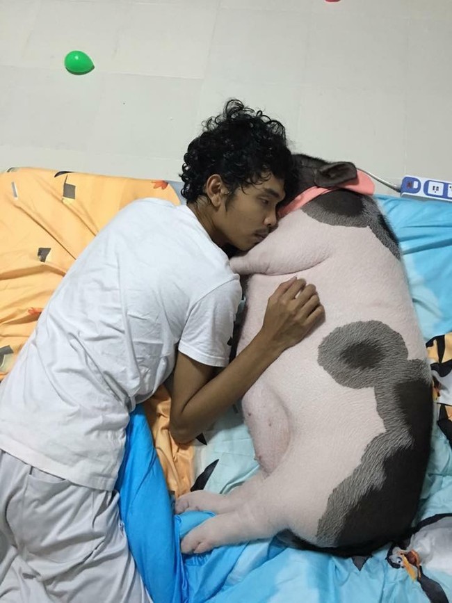 Pattanadon Taesakul setiap malam tidur bersama babinya di ranjang yang sama. Dan kata Pattanadon, babinya makan seperti manusia. Sang babi suka makan pizza, pasta hingga nasi goreng. Foto: Dok. Facebook Junior the Evil Pig, AFP, thisisprimary