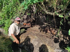 Warga Blitar Temukan Struktur Bata Kuno Diduga Situs Cagar Budaya