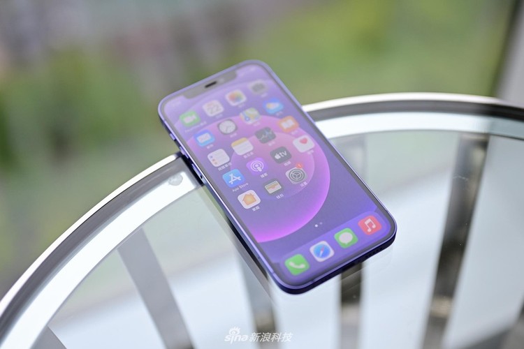 iPhone 12 Ungu