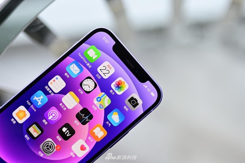 iPhone 12 Ungu