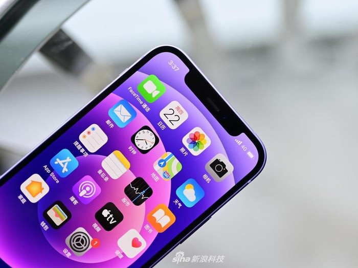 iPhone 12 Ungu