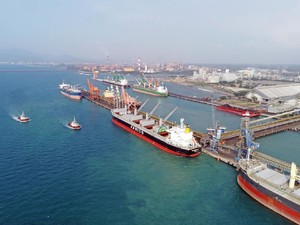 Lewat Sektor Logistik Ekonomi Bisa Cepat Pulih, Caranya?