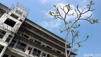 Sementara itu Bupati Sukabumi Marwan Hamami mengaku heran dengan rencana pembangunan Bukit Algoritma. Sebab, proyek yang digadang-gadang bakal menjadi Silicon Valley-nya Indonesia itu belum mengantongi izin.