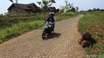 Ini Penampakan Lokasi Calon Silicon Valley Indonesia