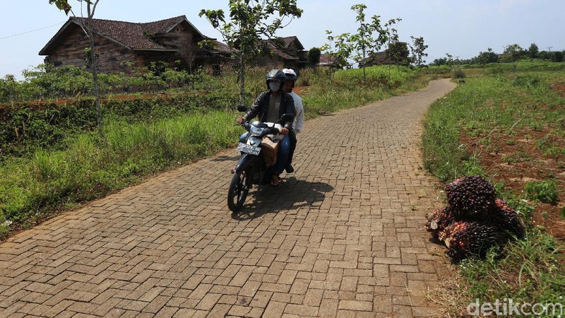 Bukit Algoritma di Cikidang, Sukabumi digadang-gadang bakal jadi 'Silicon Valley'-nya Indonesia. Begini kondisi terkini proyek 'Silicon Valley'.