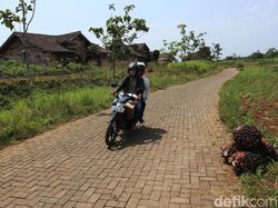 Penampakan Bukit Algoritma, Calon Silicon Valley Indonesia