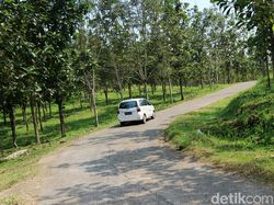 Penampakan Bukit Algoritma, Calon Silicon Valley Indonesia