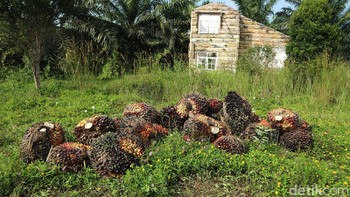 Banyak rumah terbangun, namun dalma kondisi terbengkalai dan rusak. Foto: Agung Pambudhy