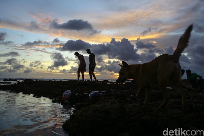 Sejumlah wisatawan menikmati pemandangan matahari terbenam di Pantai Batu Bolong, Canggu, Bali. Kawasan canggu merupakan salah satu tempat yang diincar wisatawan untuk menikmati matahari terbenam atau sunset.