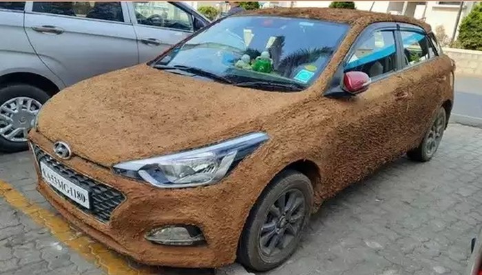 Mobil Dilumuri Kotoran Sapi