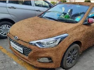 Jijik... Mobil Ini Sengaja Dilumuri Kotoran Sapi, Katanya Biar Adem
