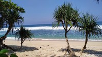 Asal baunya dari pasetran atau petilasan yang ada di area atas. (Erliana Riady/detikcom)