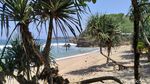 Namanya Pantai Bau Mayat, Aslinya Wangi!