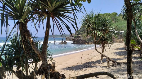 Bentang pantai ini sepanjang satu KM. Di pinggirnya, banyak jenis vegetasi pantai yang menambah asri suasana. Seluas mata memandang, hamparan pasir putih nan bersih, diambang batas air pantai yang menghijau jernih. Berjalan sepanjang pantai, bisa membuat suasan hati lebih rileks. Bentang pantai ini sepanjang satu KM. Di pinggirnya, banyak jenis vegetasi pantai yang menambah asri suasana. Seluas mata memandang, hamparan pasir putih nan bersih, diambang batas air pantai yang menghijau jernih. Berjalan sepanjang pantai, bisa membuat suasan hati lebih rileks.