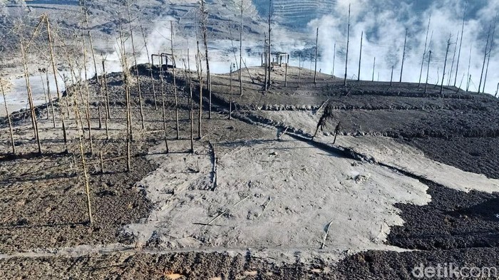 Kawah Sileri di dataran tinggi Dieng kembali erupsi, Kamis (29/4) malam. Lahan pertanian rusak akibat erupsi tersebut.