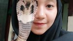 Potret Icha dan King Cobra Rambo Sepanjang 4 Meter yang Viral