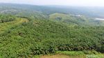 Penampakan dari Udara Lokasi Calon Silicon Valley Indonesia