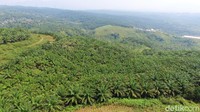 Lokasi Bukit Algoritma agak jauh dari pusat ibu kota di DKI Jakarta.