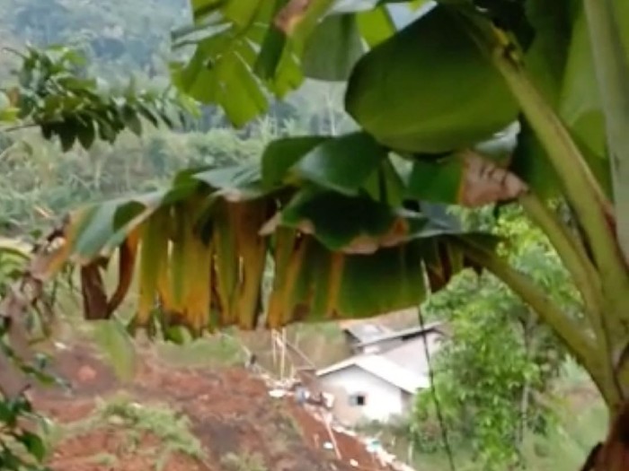 Longsor timbun rumah di Ciambar Sukabumi