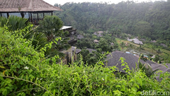 Menikmati Sunset Dari Ambar at Mandapa Kalau mau menikmati pemandangan sunset cantik di Ubud, Ambar di Mandapa Reserve bisa jadi pilihan. Tersedia ragam cocktail dan tapas khas Meksiko dan Peru di sini.
