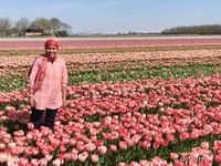 Ngabuburit Ke Ladang Tulip Di Belanda