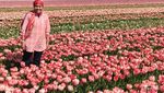 Ngabuburit ke Ladang Tulip di Belanda