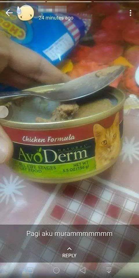 Ngakak! Makan Saat Ngantuk, Orang Ini Sahur Pakai Makanan Kucing
