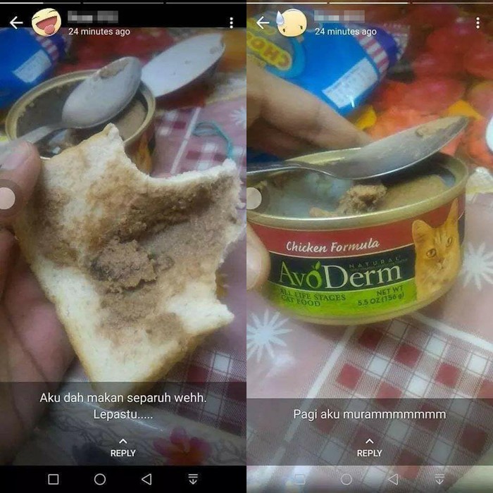 Ngakak! Makan Saat Ngantuk, Orang Ini Sahur Pakai Makanan Kucing