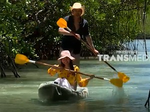 Celebrity on Vacation: Main Kayak di Tengah Hutan Mangrove Leebong Island