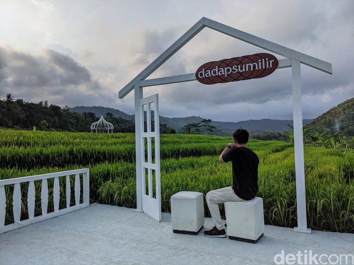 Dadap Sumilir Kulon Progo
